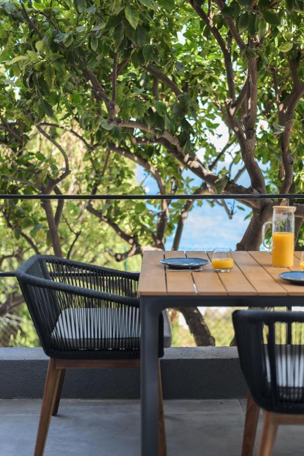 Proche Monaco, Vue Mer, Acces Plage Et Jardin Privatif Saint-Antoine  Zewnętrze zdjęcie