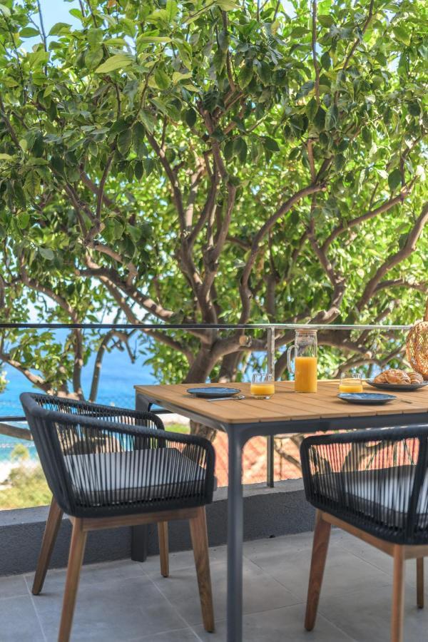 Proche Monaco, Vue Mer, Acces Plage Et Jardin Privatif Saint-Antoine  Zewnętrze zdjęcie